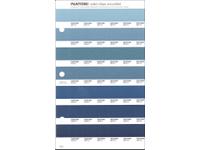 PANTONE PMS SOLID CHIPS ERSATZSEITE 160U