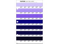 PANTONE PMS SOLID CHIPS ERSATZSEITE 100C