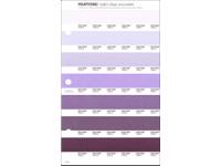 PANTONE PMS SOLID CHIPS ERSATZSEITE 102U
