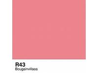 COPIC INKT R43 BOUGAINVILLAE COR43
