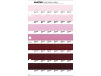 PANTONE PMS SOLID CHIPS ERSATZSEITE 70C