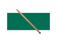 FABER-CASTELL PITT PASTELLSTIFTE 159 HOOKER'S GRÜN