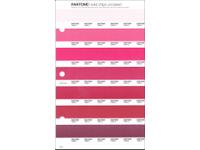 PANTONE PMS SOLID CHIPS ERSATZSEITE 55U