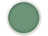 PANPASTEL 9ML PERMANENT GREEN SHADE 640.3
