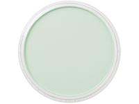 PANPASTEL 9ML PERMANENT GREEN TINT 640.8