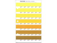 PANTONE PMS SOLID CHIPS ERSATZSEITE 9U