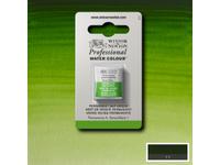 WINSOR & NEWTON AQUARELLFARBE 1/2NÄPF 503 PERMANENT SAFTGRÜN