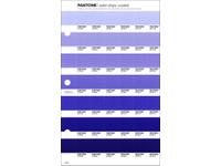 PANTONE PMS SOLID CHIPS ERSATZSEITE 108C