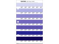 PANTONE PMS SOLID CHIPS ERSATZSEITE 107C
