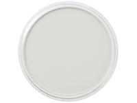 PANPASTEL 9ML NEUTRAL GREY TINT 820.7