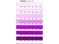 PANTONE PMS SOLID CHIPS ERSATZSEITE 87C