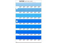 PANTONE PMS SOLID CHIPS ERSATZSEITE 134C
