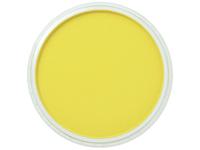 PANPASTEL 9ML HANS YELLOW 220.5