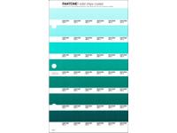 PANTONE PMS SOLID CHIPS ERSATZSEITE 164C