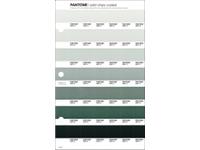 PANTONE PMS SOLID CHIPS ERSATZSEITE 175C
