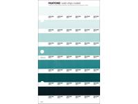 PANTONE PMS SOLID CHIPS ERSATZSEITE 176C
