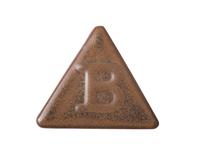 BOTZ STEENGOED 9885 200ML TENMOKU