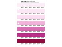 PANTONE PMS SOLID CHIPS ERSATZSEITE 63C