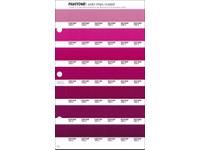 PANTONE PMS SOLID CHIPS ERSATZSEITE 76C