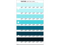 PANTONE PMS SOLID CHIPS ERSATZSEITE 169C