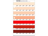 PANTONE PMS SOLID CHIPS ERSATZSEITE 37C