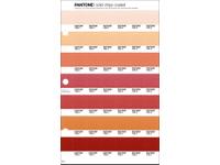 PANTONE PMS SOLID CHIPS ERSATZSEITE 36C