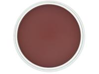 PANPASTEL 9ML PERMANENT RED EXTRA DARK 340.1