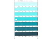 PANTONE PMS SOLID CHIPS ERSATZSEITE 170U