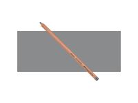FABER-CASTELL PITT PASTELLSTIFTE 233 KALTGRAU IV