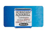SCHMINCKE HORADAM AQUARELL 1/2 NAPF S1 481 CÃLINBAUTON