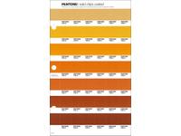PANTONE PMS SOLID CHIPS ERSATZSEITE 17C