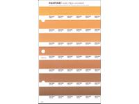 PANTONE PMS SOLID CHIPS ERSATZSEITE 18U
