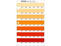 PANTONE PMS SOLID CHIPS ERSATZSEITE 19C