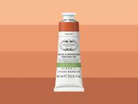 LEFRANC BOURGEOIS CHARBONNEL AQUA WASH ETSINKT 60ML S3 SANGUINE 500