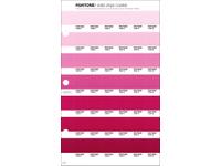 PANTONE PMS SOLID CHIPS ERSATZSEITE 67C
