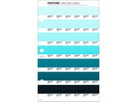 PANTONE PMS SOLID CHIPS ERSATZSEITE 170C