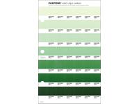 PANTONE PMS SOLID CHIPS ERSATZSEITE 171C