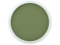 PANPASTEL 9ML CHROMIUM OXIDE GREEN SHADE 660.3