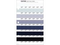 PANTONE PMS SOLID CHIPS ERSATZSEITE 111C