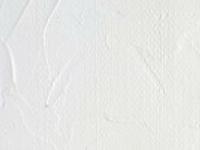 GAMBLIN CONSERVATION COLORS 15ML TITANIUM WHITE OP=OP