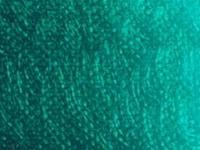 ARA ACRYLFARBE 500ML 049 PHTHALOGRÜN BLÄULICH