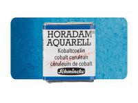 SCHMINCKE HORADAM AQUARELL 1/2 NAPF S4 499 KOBALTCÃLIN