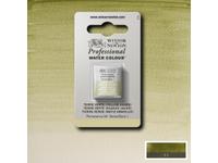 WINSOR & NEWTON AQUARELLFARBE 1/2NÄP 638 TERRE VERTE GELBTON