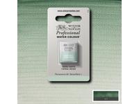 WINSOR & NEWTON AQUARELLFARBE 1/2 NÄPF S1 637 GRÜNE ERDE