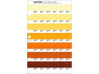 PANTONE PMS SOLID CHIPS ERSATZSEITE 22C