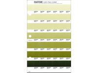 PANTONE PMS SOLID CHIPS ERSATZSEITE 202C
