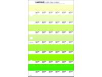 PANTONE PMS SOLID CHIPS ERSATZSEITE 197C