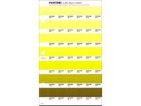 PANTONE PMS SOLID CHIPS ERSATZSEITE 210C
