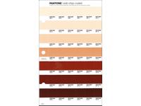 PANTONE PMS SOLID CHIPS ERSATZSEITE 234C