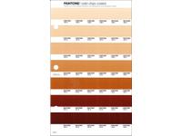 PANTONE PMS SOLID CHIPS ERSATZSEITE 228C